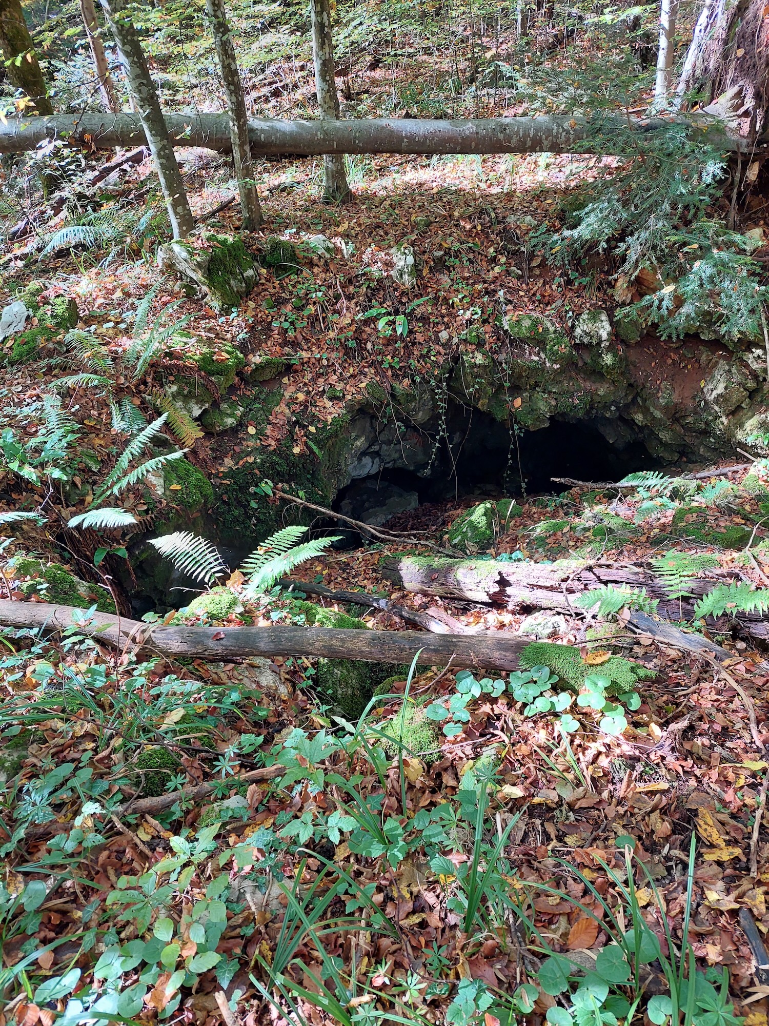 Peștera din Brădet - Image 1